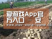 种植基地八
