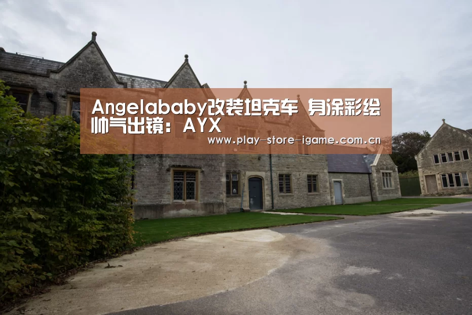 Angelababy改装坦克车 身涂彩绘帅气出镜：AYX(图1)