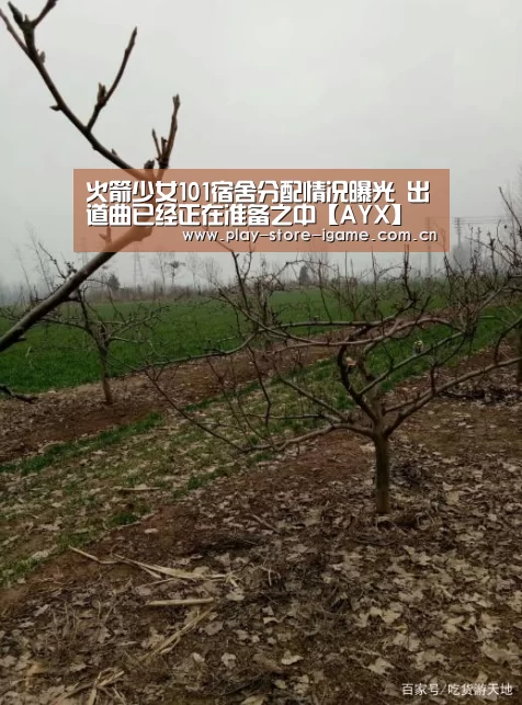 火箭少女101宿舍分配情况曝光 出道曲已经正在准备之中【AYX】(图3)