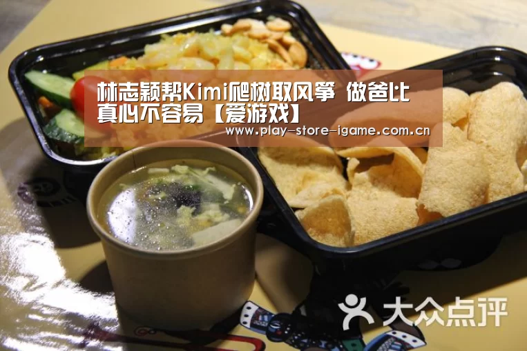 林志颖帮Kimi爬树取风筝 做爸比真心不容易【爱游戏】(图1) 体育手机端APP