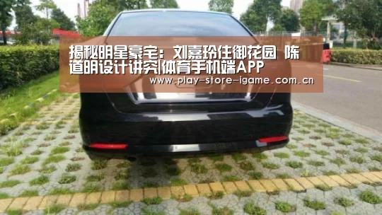 体育手机端APP
