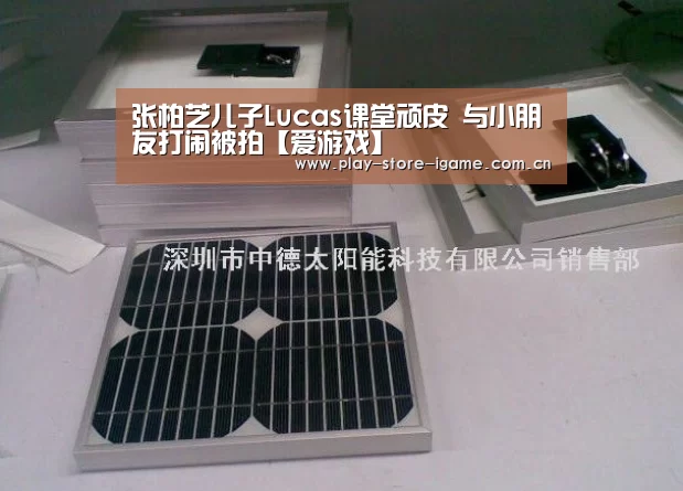 张柏芝儿子Lucas课堂顽皮 与小朋友打闹被拍【爱游戏】(图2) 体育手机端APP